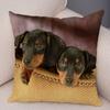 Mini Dachshund Cushion Cover Decor Pet Animal Pillowcase Sofa Home Children's Room Pillowcase