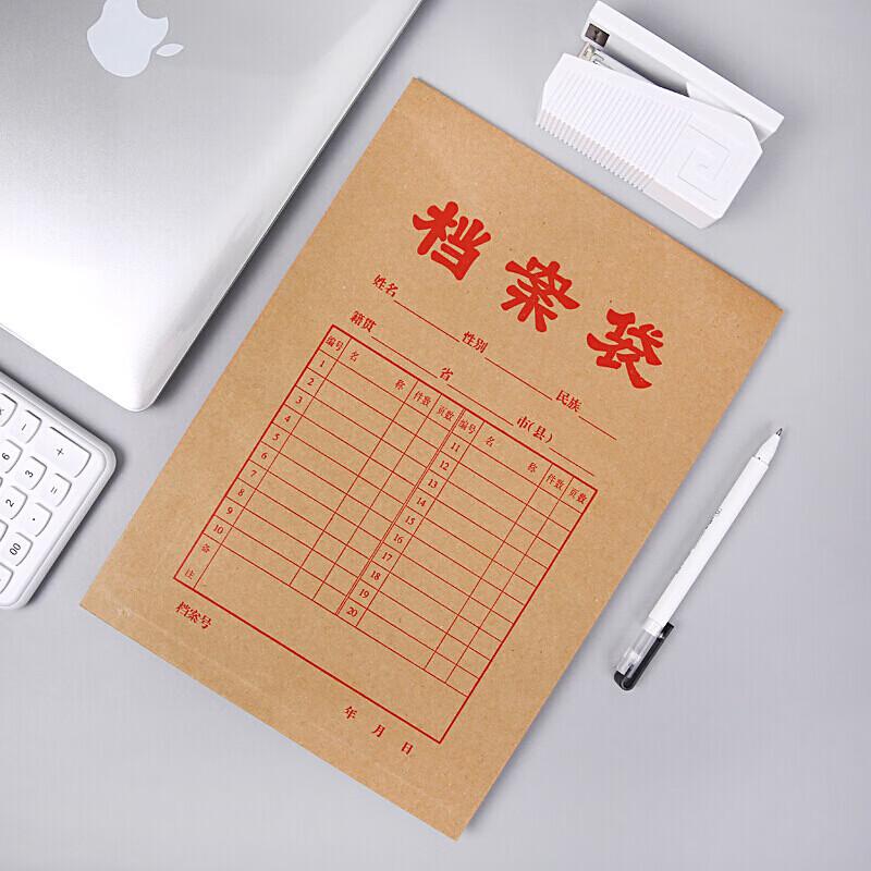 Chenguang A4 Kraft Paper File Bags