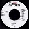 7inch Record ASSASSIN - Pull Up NONE Don Corleon Rec 2003 Jamaica Reggae, Ska & Dub Used