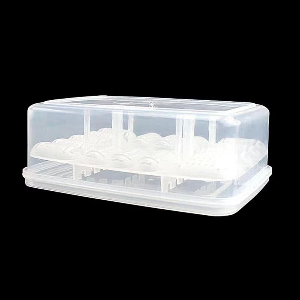 Transparent Reptile Hatch Box with Thermometer Reptile Breeding Hatchery Tortoise