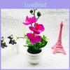 Phalaenopsis Potted Decorative Plant For Living Room Decor And Gift Display