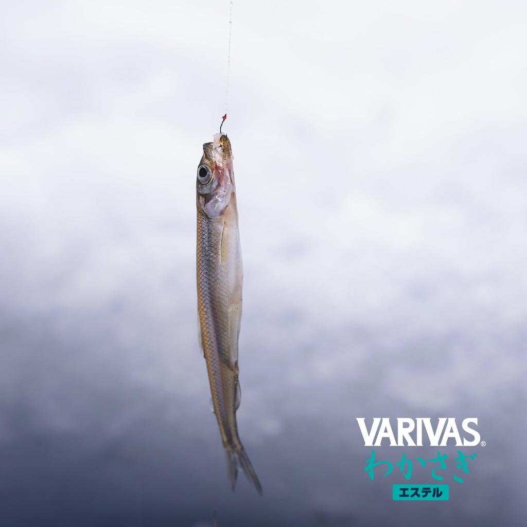 VARIVAS Wakasagi Ester 60м Оранжевый Нет. 0,3