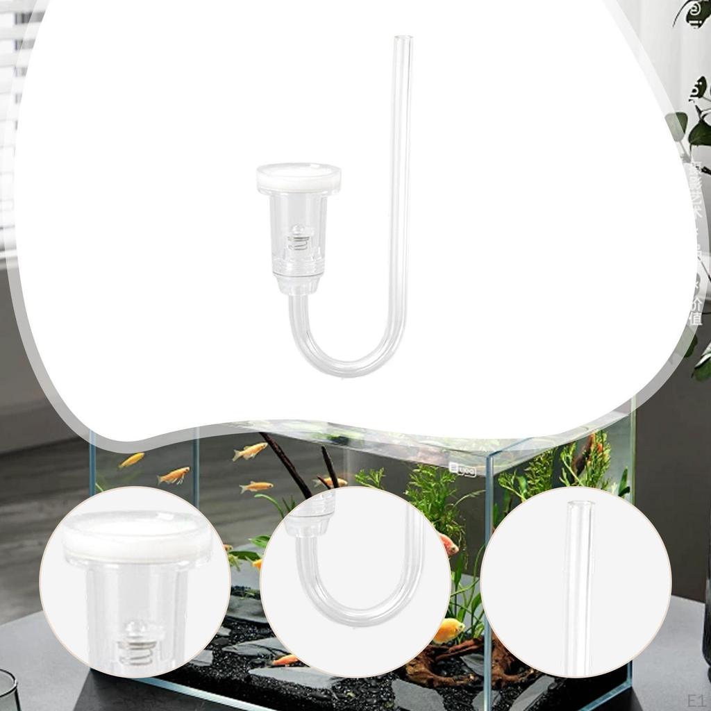 Акриловые аксессуары Легкая система CO2 для аквариума для водных растений Настольное фото Офис