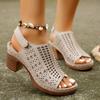 Women's Solid Color Stylish Sandals, Ankle Strap Platform Soft Sole Hollow Out Shoes, Breathable Walking Chunky Heels