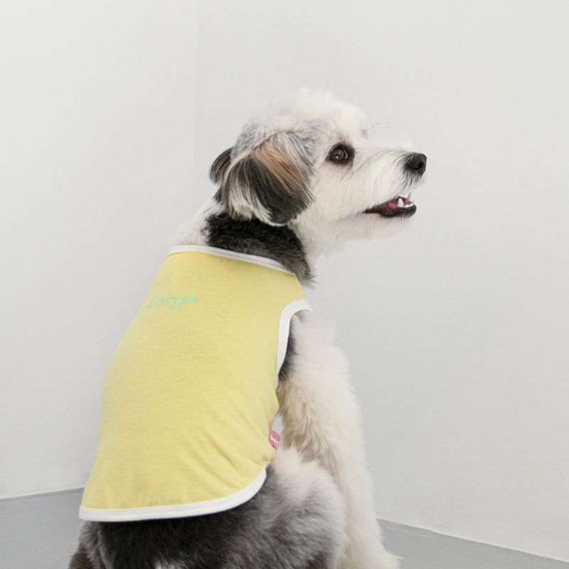 Футболка размера foreverybari (лимон желтый)