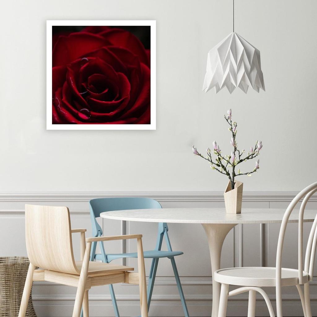 Canvas print, The charm of the red rose