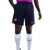 Футбольные шорты Nike Dri-FIT для мужчин FC Barcelona Strike HJ6750-594