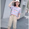 Модный спортивный костюм для девочек 2024: Модный комплект из двух предметов нового стиля для детей постарше - Летняя одежда с короткими рукавами