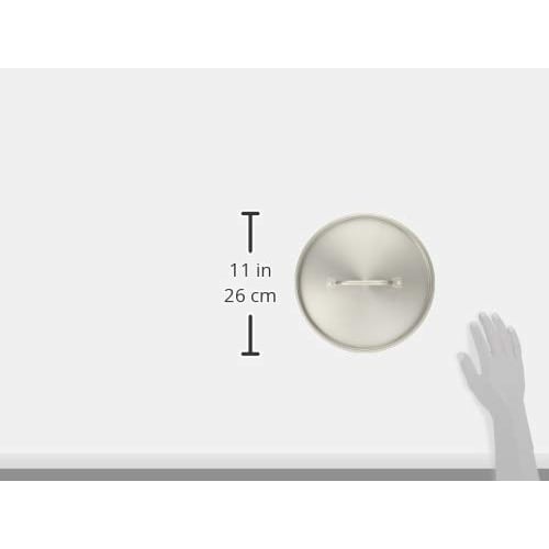 Endo Shoji TKG PRO Series 24cm Pot Lid, Durable and Rust-Resistant Stainless Steel, Outer Diameter: 255mm, Weight: 0.45kg, Professional Use, ANB2424