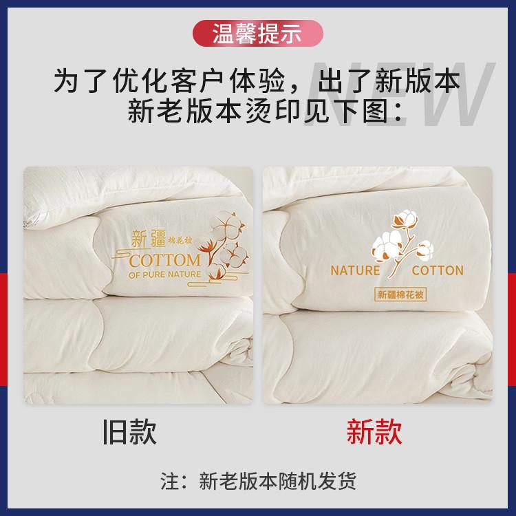 Xinjiang Cotton Quilt