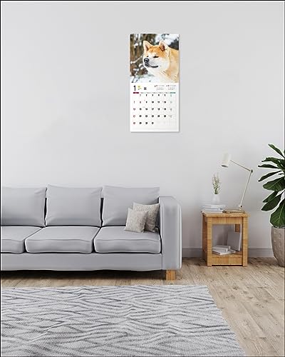 Календарь 2024 Акита-ину (Календарь Seibundo Shinkosha)