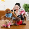 Teddy Hoodie Dog Plush Toy Cute Cartoon Collar Animal Doll Girl Birthday Gift