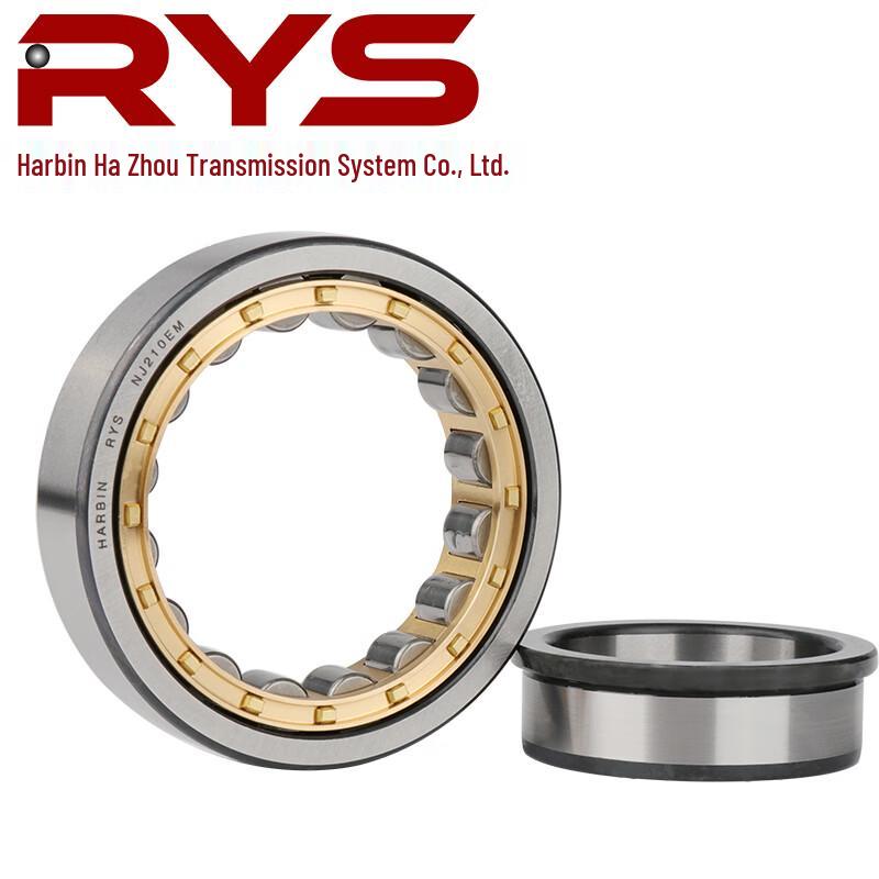 RYS Cylindrical Roller Bearing NJ1009EM