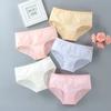 Teens Teenage Panties Kids Underwear Children Cotton Brifes 10-16Y
