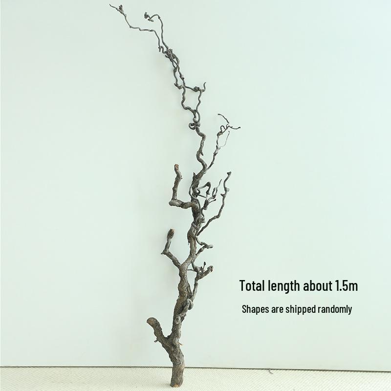 Изогнутые ветки зизифуса (ююбы) для ваби-саби икебаны и дзен-искусства