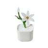 with Flowerpot Glass Flower Bouquet Mini Glass Flower Decor  Wedding Decoration