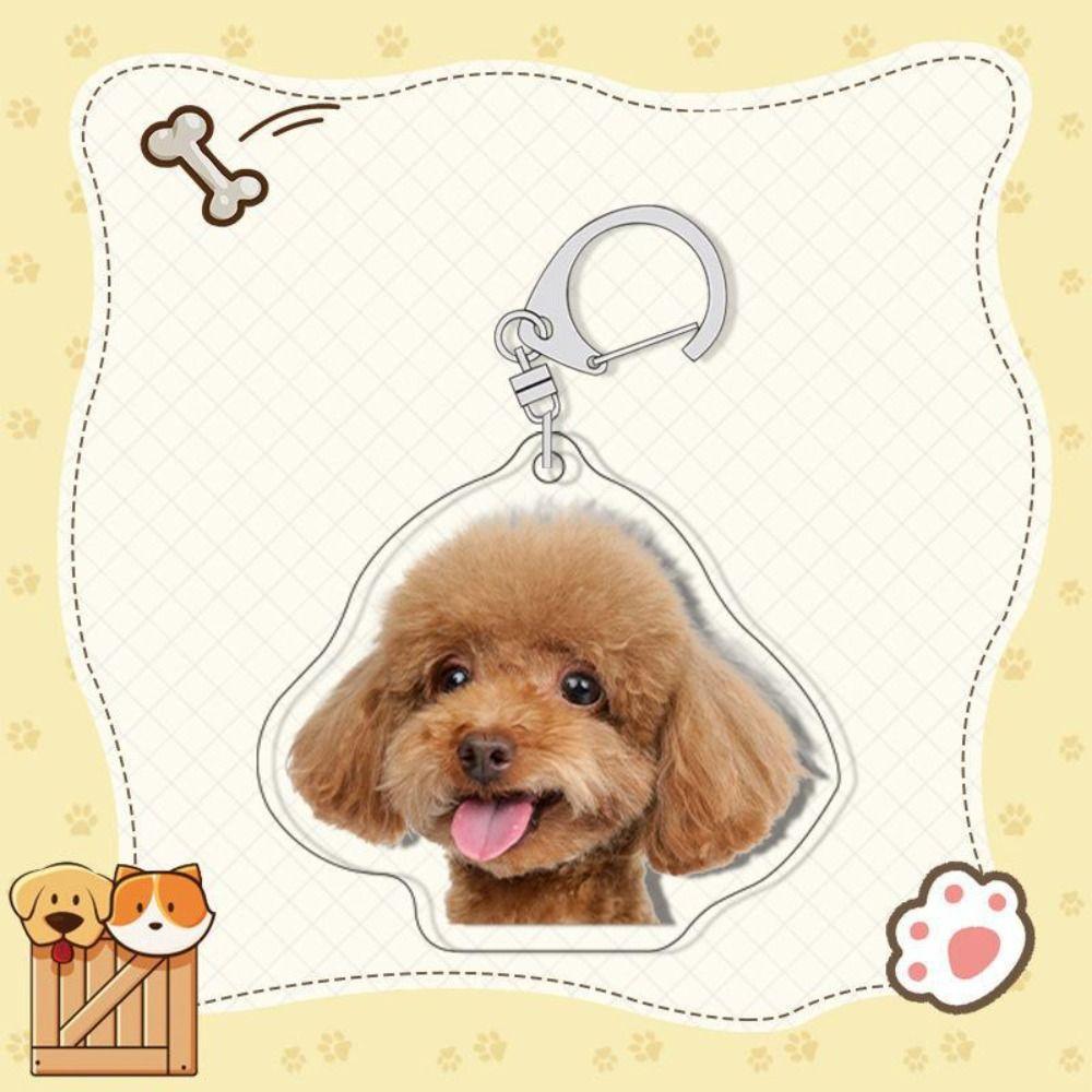 Samoyed Labrador Puppy Pendant Husky Acrylic Corgi Keyring Border Collie Dog Keychain  Unisex