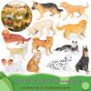 Коллекционирование и модели – Модели