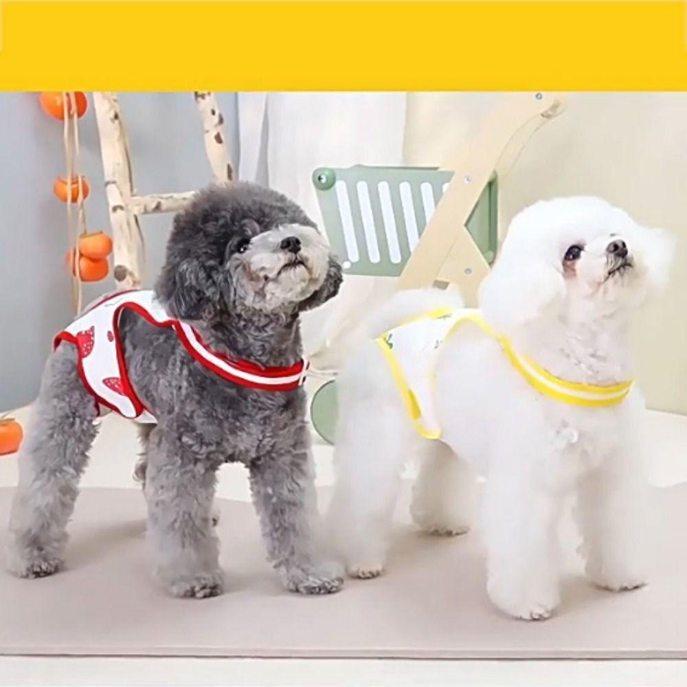 Нижнее белье Физиологические штаны для питомца Подгузник Кошачьи шорты Принадлежности для щенков Подгузники для сук Для собаки/кошки