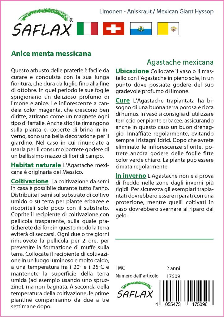 SAFLAX Garden in the Bag - Иссоп мексиканский гигантский - 50 семян - С субстратом в подходящем стоячем пакете - Agastache mexicana
