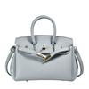Fashion Women's Handbag Classic One Shoulder Oblique Straddle Handheld Versatile Platinum Bag Spring/Summer New Style