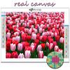 Популярные 5D Diy вышивка крестиком цветы тюльпаны живопись полная дрель набор для вышивки крестиком настенная наклейка домашний декор