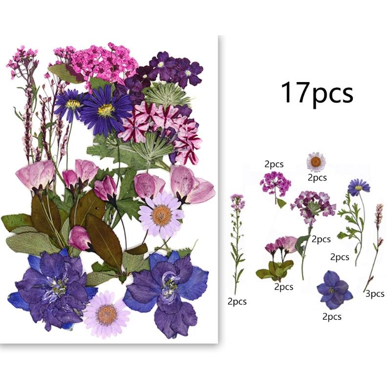 495Piece Dried Flower Craft Set Including Pressed Blooms and Butterfly Stickers for Resin Art and Journal Decorating