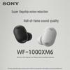 Sony Полностью беспроводные наушники с шумоподавлением WF-1000XM6