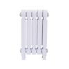 ANTIS NE Cast Iron Radiator