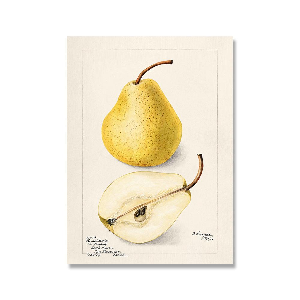 Винтажный Ретро постер с фруктами, авокадо, клубникой, скандинавский холст, картина, настенные художественные картины, принты для декора кухни и комнаты