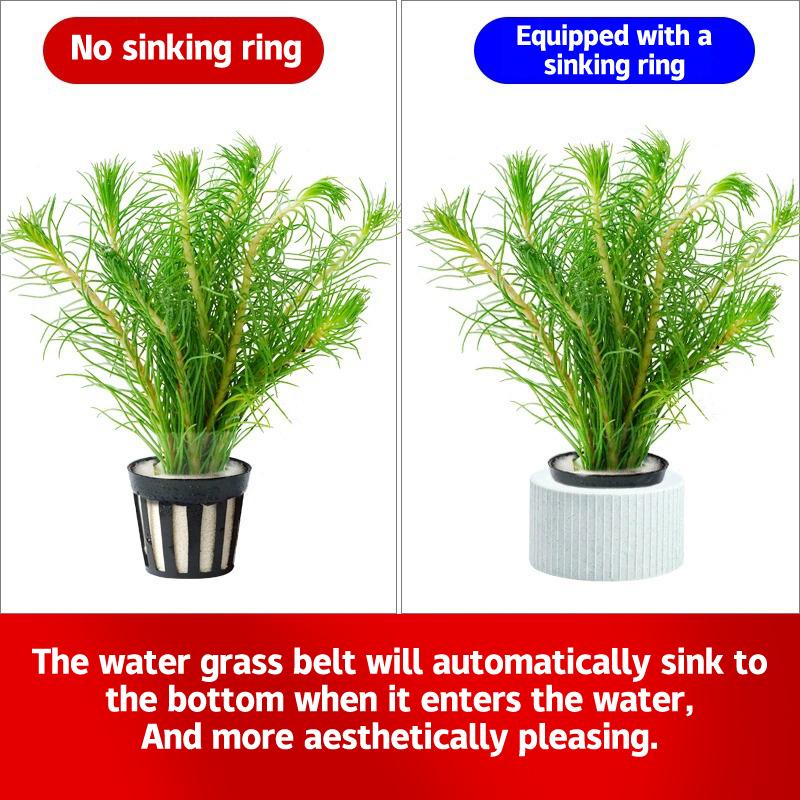 Aquatic Plants Fixed Ring Fish Tank Plants Fix Basket Aquarium Accessories Aquarium Landscape Decoration Water Grass Fixed Cup