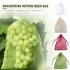 Plant Flower Vegetable Plant Caver Bags Fruit Net Bags Plant Protection Bag Mesh Protect Bag