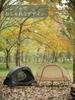 VIDALIDO Solo Tent, 1-2 Person Camping Tent, Freestanding Cot Tent, Breathable, Windproof, Lightweight, Easy-to-Use Tent (Black, Flysheet Only)