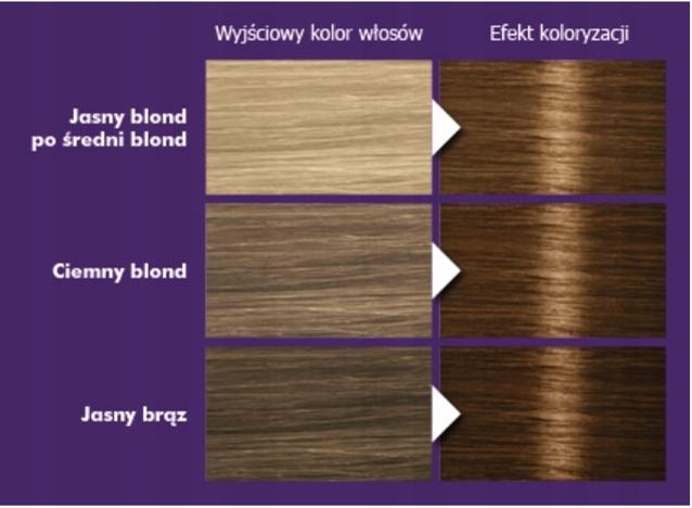 Palette Intensive Color Creme Hair Dye, Permanent, No. 6-65 Nougat 1 Pc