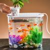 Transparent Aquaponic Fish Bowl Removable Plastic Hydroponic Fish Tank Goldfish Tank   Table