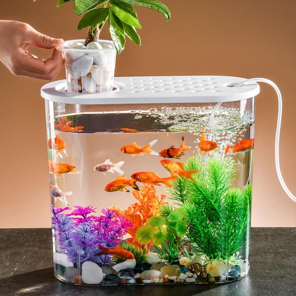 Transparent Aquaponic Fish Bowl Removable Plastic Hydroponic Fish Tank Goldfish Tank Table