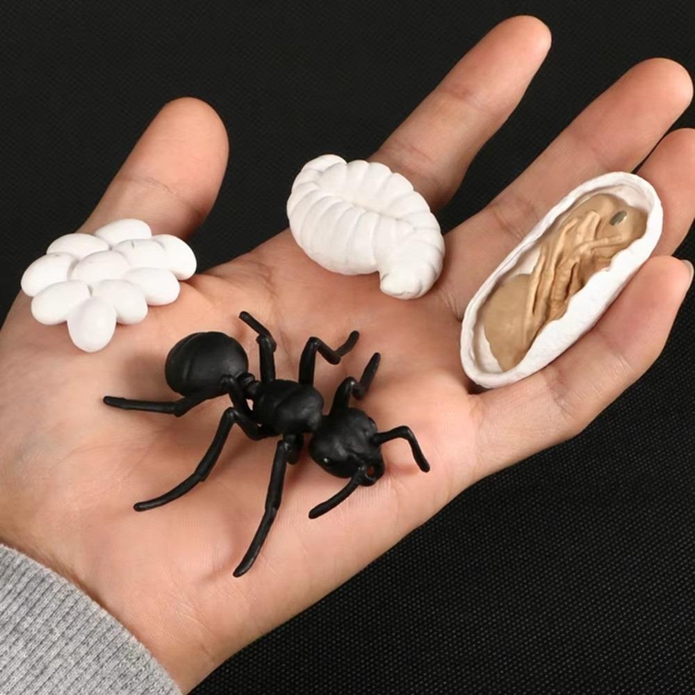4 Pcs/Set Miniature Size Life Cycle Figurines Simulation Animal Models for Kids Educational Play