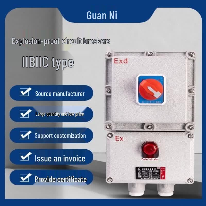 Ganni Explosion-Proof Circuit Breaker Distribution Box