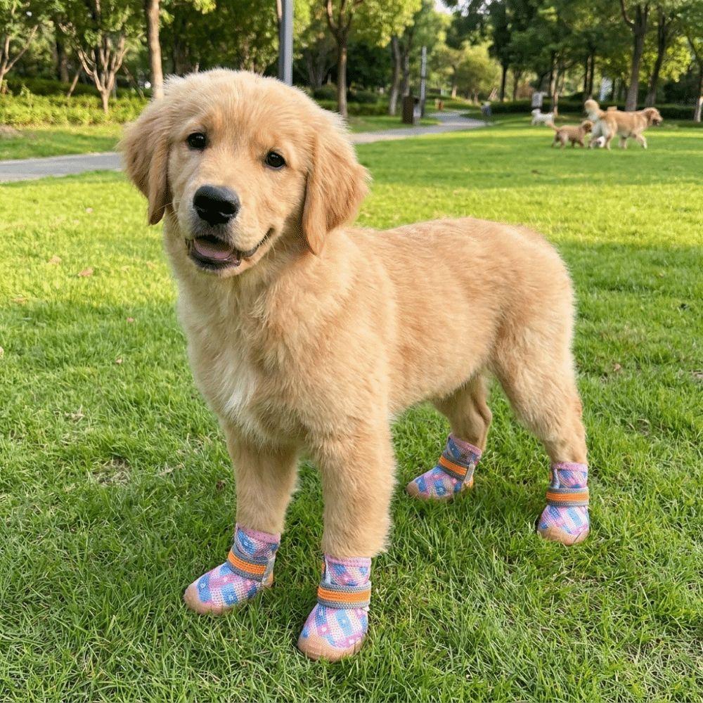 4 pcs/set Wear Resistant Dog Mesh Shoes Breathable Mesh Dog Sneakers Dog Foot Covers  City Walks
