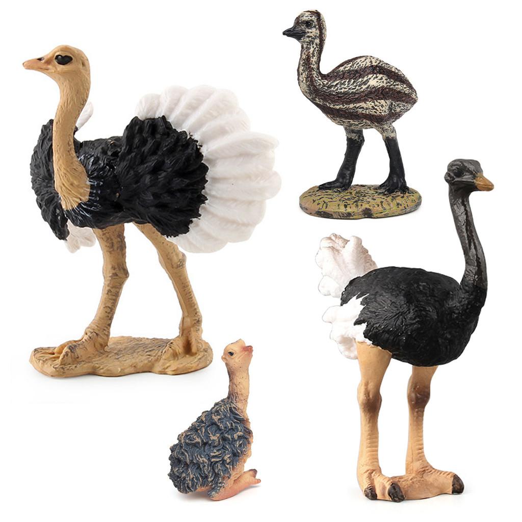 Kids Bird Animal Replica Pvc Nonstatic Australian Ostrich Duckling Figurine For Classroom And Playroom Decor