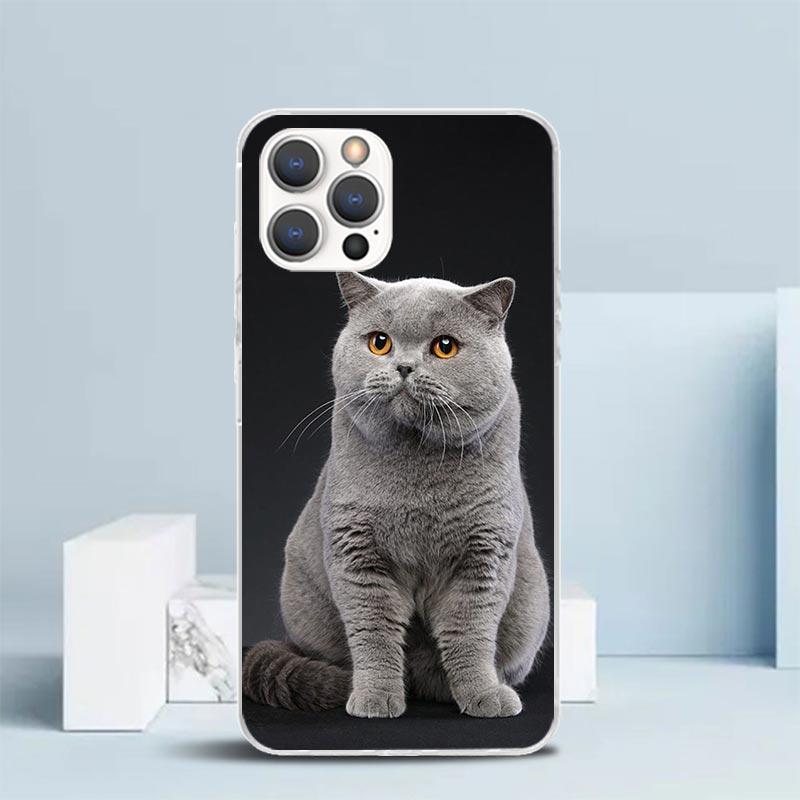Чехол для телефона с изображением британской короткошерстной кошки для iPhone 16 17 Air 16E 15 14 Plus 13 Mini 12 11 Pro Max 7 8 + SE 2020 Мягкая задняя крышка из ТПУ 16