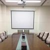 NEC 100-inch 4:3 Electric Projector Screen