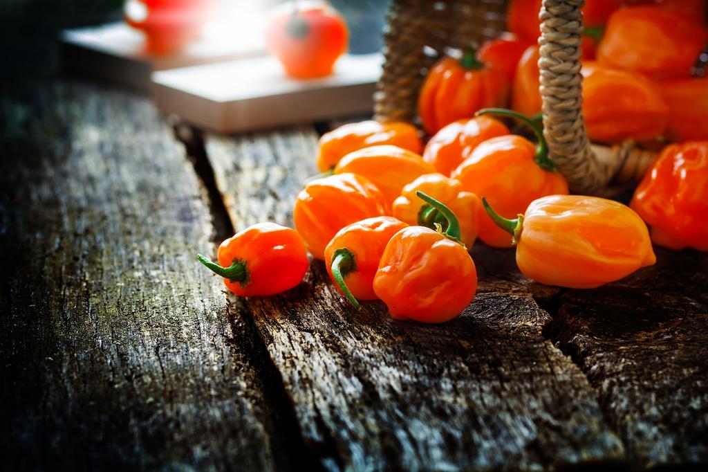 SAFLAX Garden in the Bag - Органический - Острый перец чили - Апельсин Хабанеро - 20 семян - С субстратом в подходящем стоячем пакете - Capsicum annuum