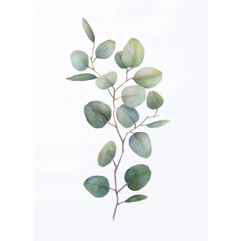 Акварельные листья зеленые постеры ботанические эвкалиптовые принты холст картины настенные художественные картины для гостиной украшения дома