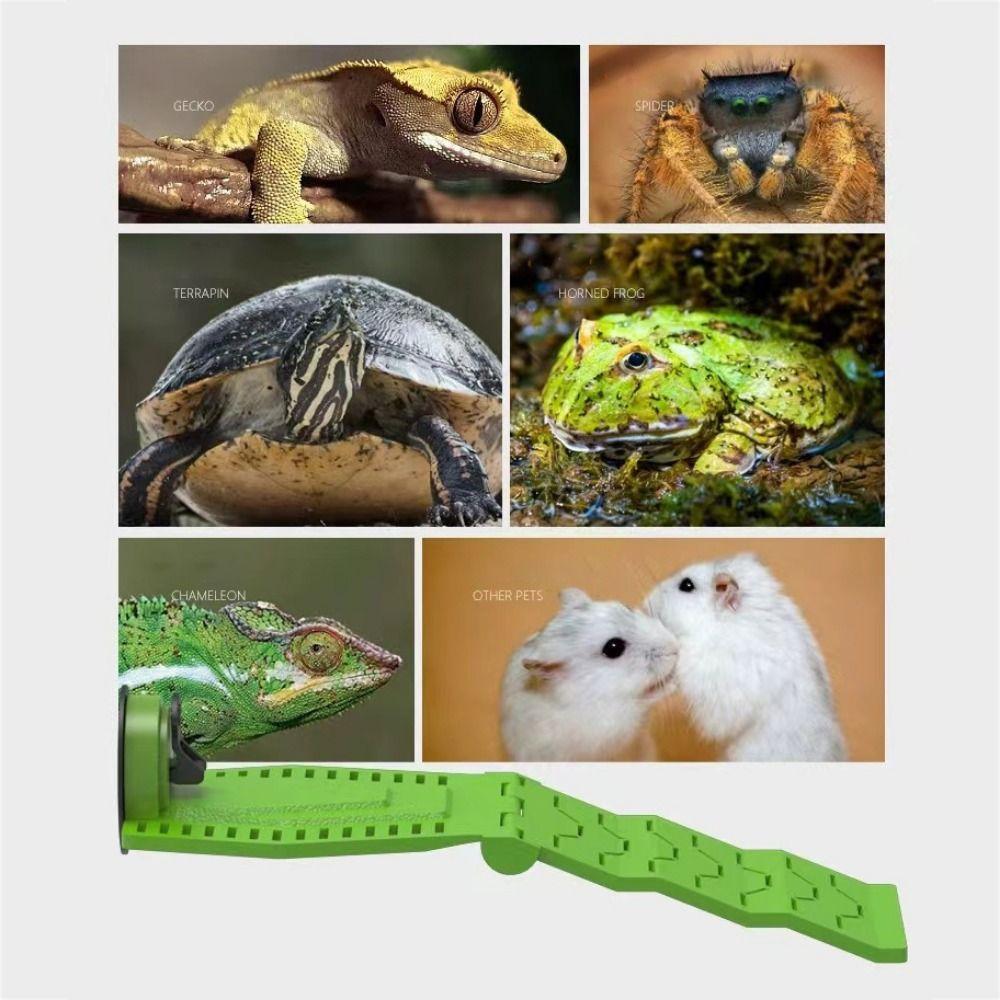 Folding Turtle Basking Ramp PVC Turtle Basking Platform Turtle Resting Terrace  For Turtles Frogs