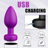 Vibrator with 10 Vibration Speeds Wireless Remote Control Vibrator Anal Plug Small Discreet and Silent Mini Sex Toys for Couples