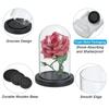PATIKIL 15.5 x 15 cm clear cloche glass dome glass bell jar display case tabletop centerpiece With black wooden base for christmas interior decoration
