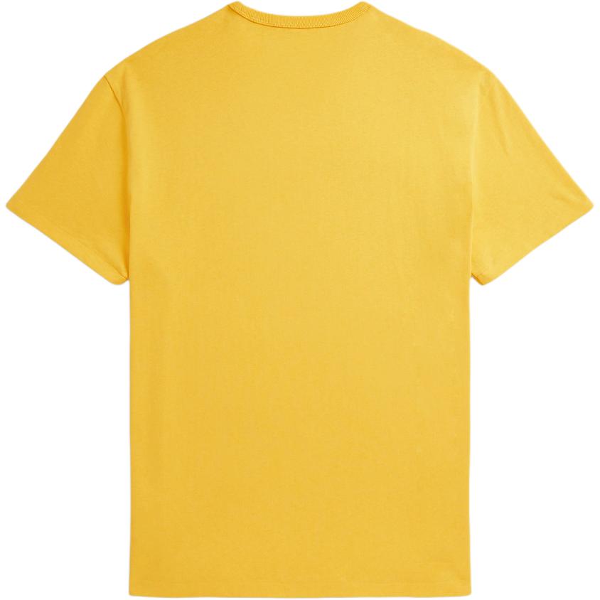 Polo Ralph Lauren Хлопковая футболка с коротким рукавом и вышитым логотипом, круглый вырез, Классическое издание, Мужские топы MNPOTSH1N822887-700