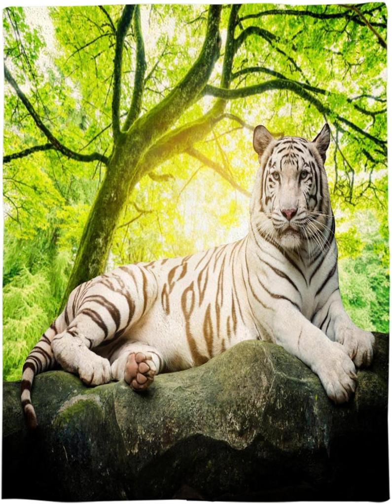 Tiger Blanket Wild Animal Flannel Throw Blanket Soft Comfy Lightweight Cozy Plush Fuzzy Warm Blanket for Home Couch Bed Sofa