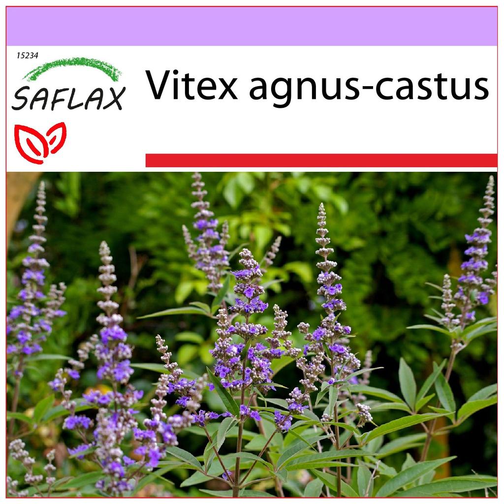 SAFLAX Перец Монахский - 30 семян - Vitex agnus-castus